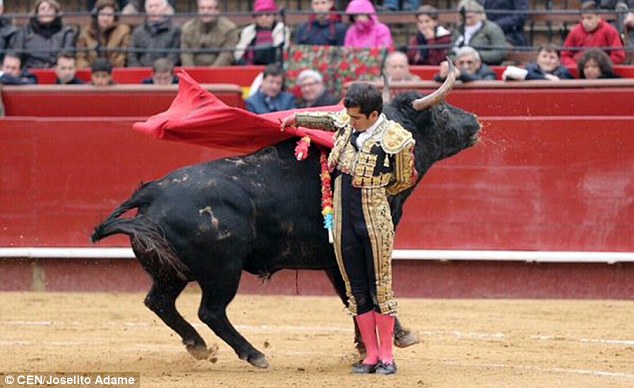 Image result for matador picture