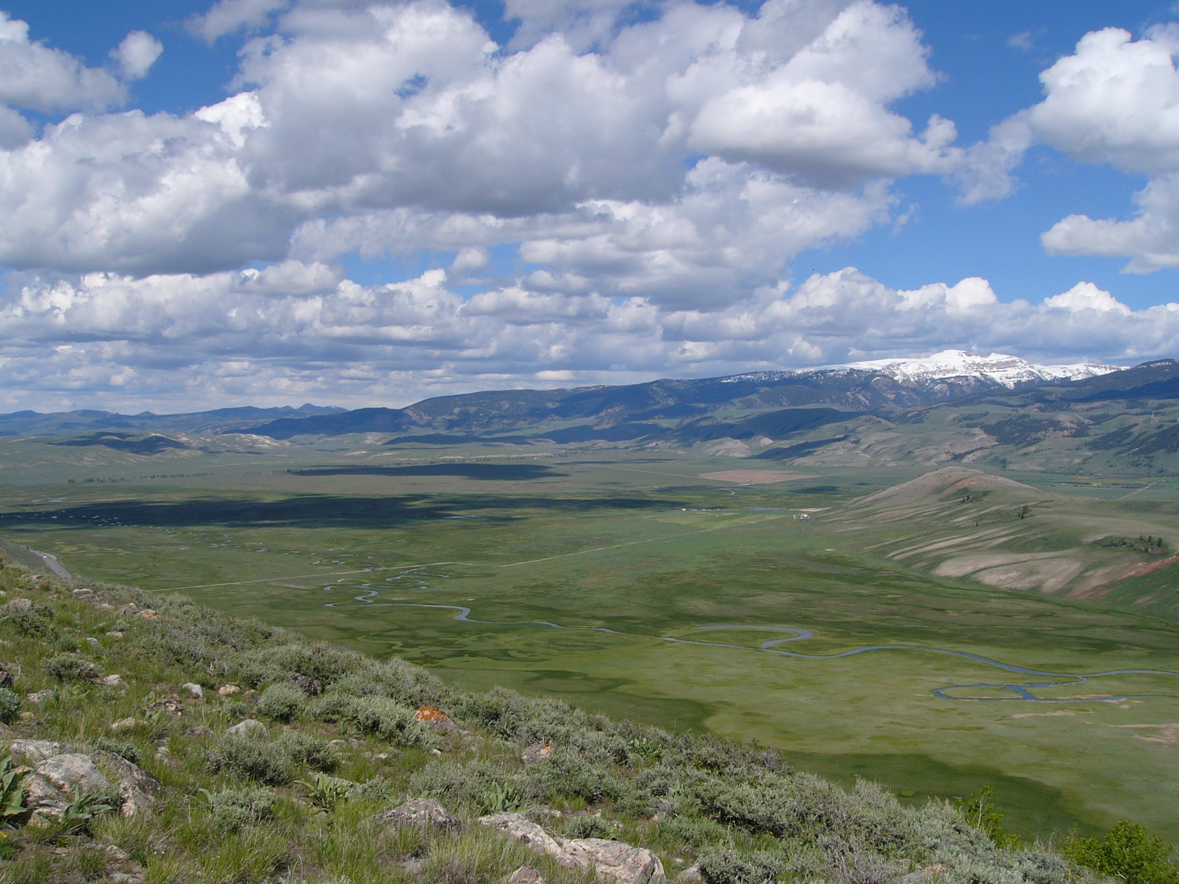 SNAKE RIVER BASIN, NATIONAL ELK REFUGE