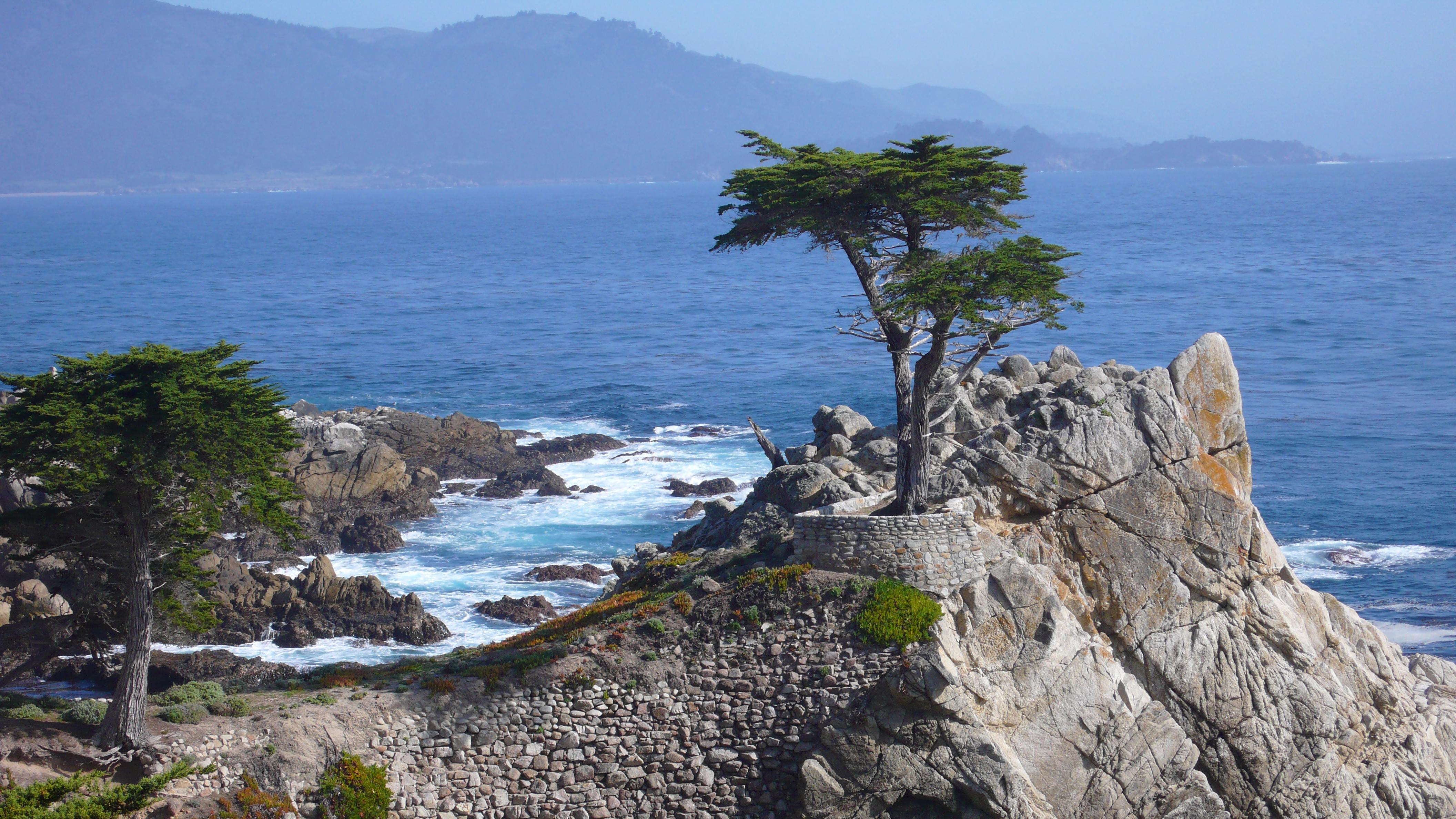 LONE CYPRESS - HIGHWAY 1