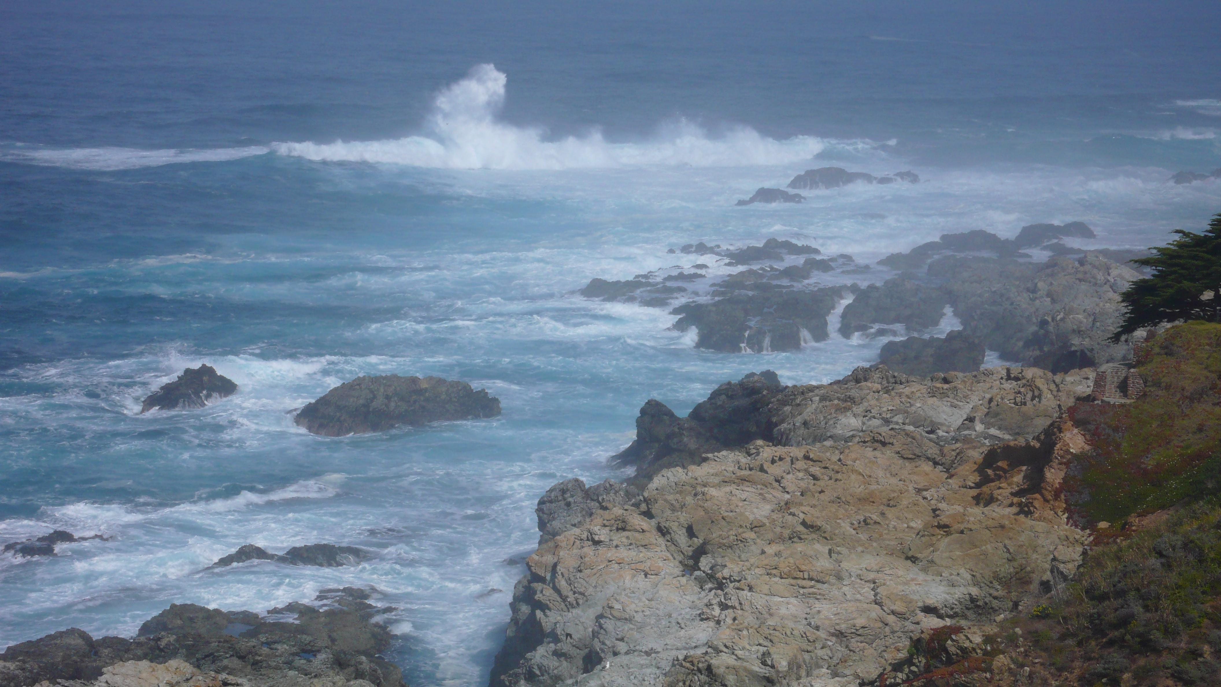 SEA LION  POINT - POINT LOBOS 