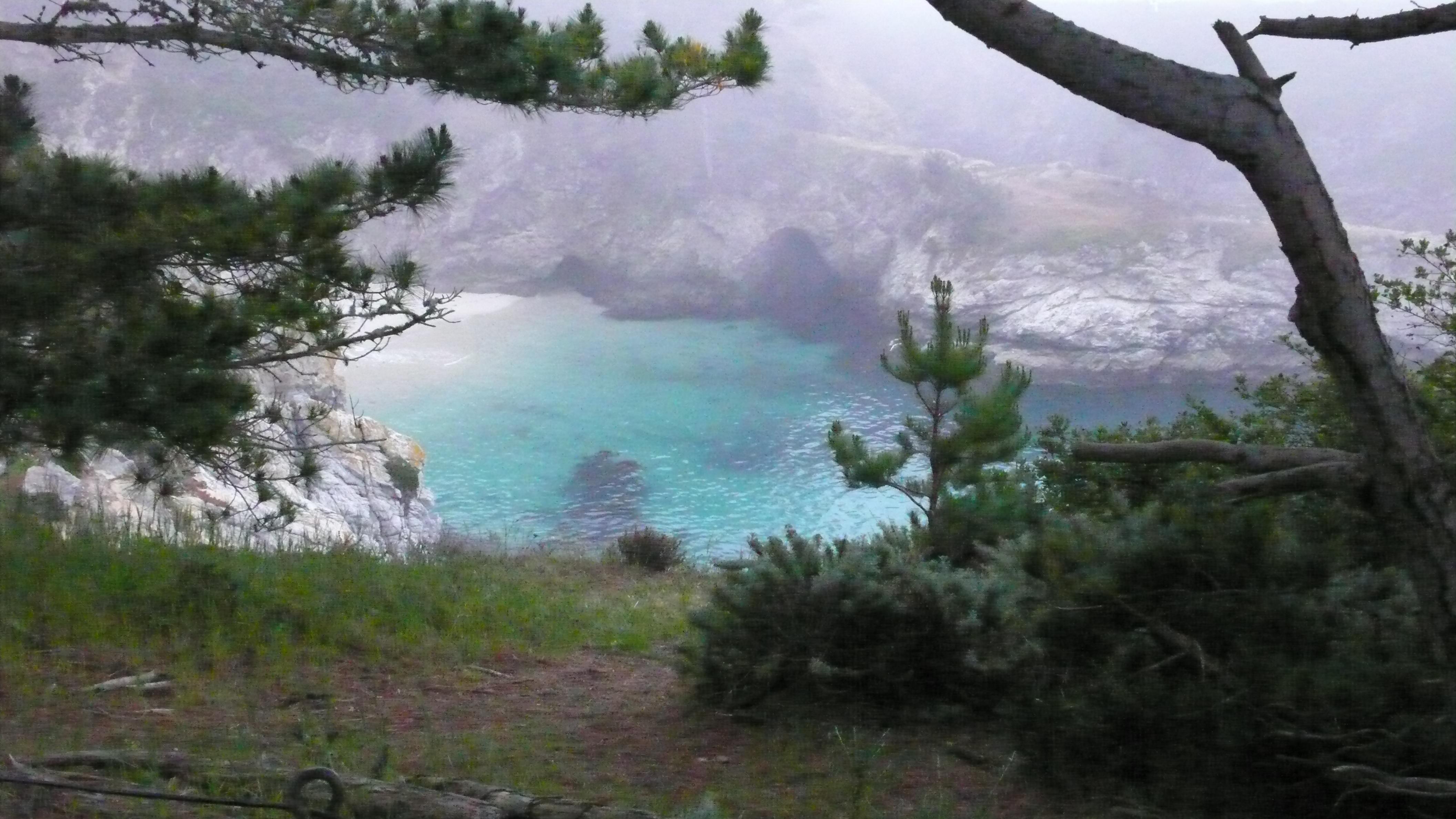 CHINA COVE - POINT LOBOS