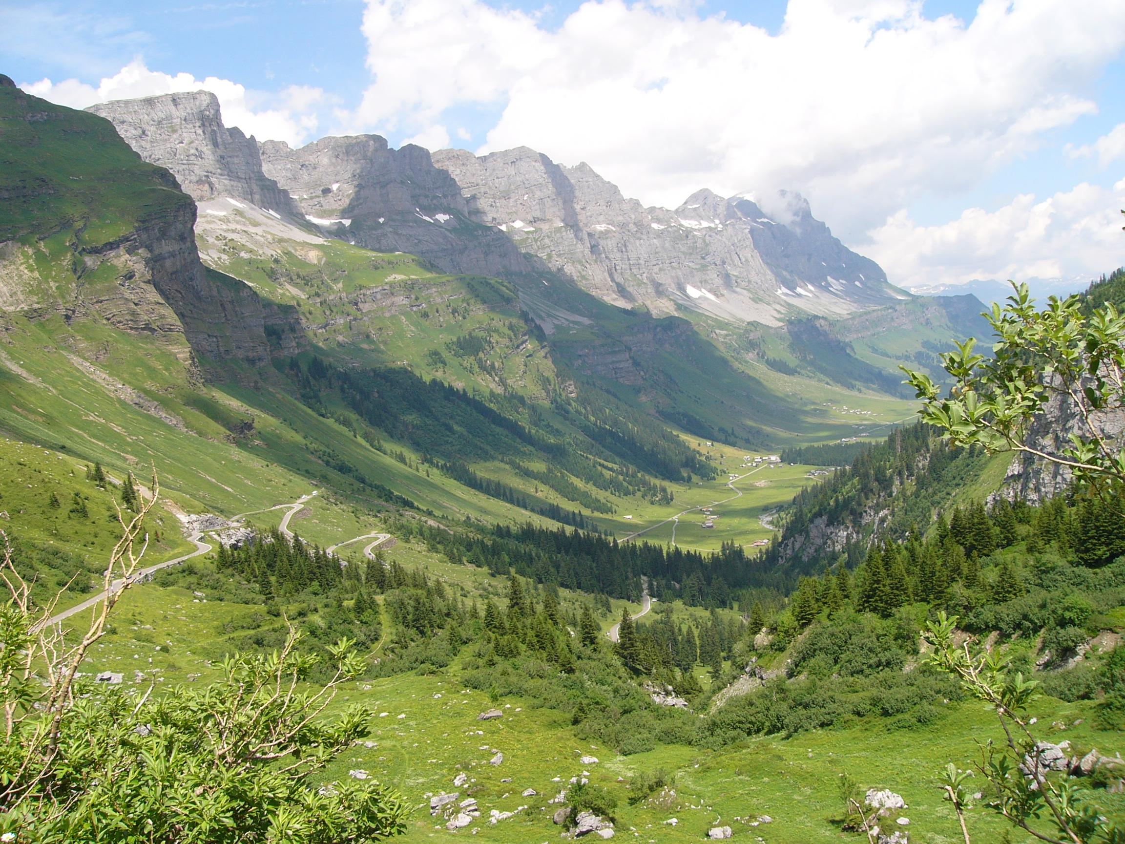 ALPINE MEADOWS AT GLARUS