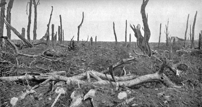 DEVASTATION BATTLE OF THE SOMME 1916