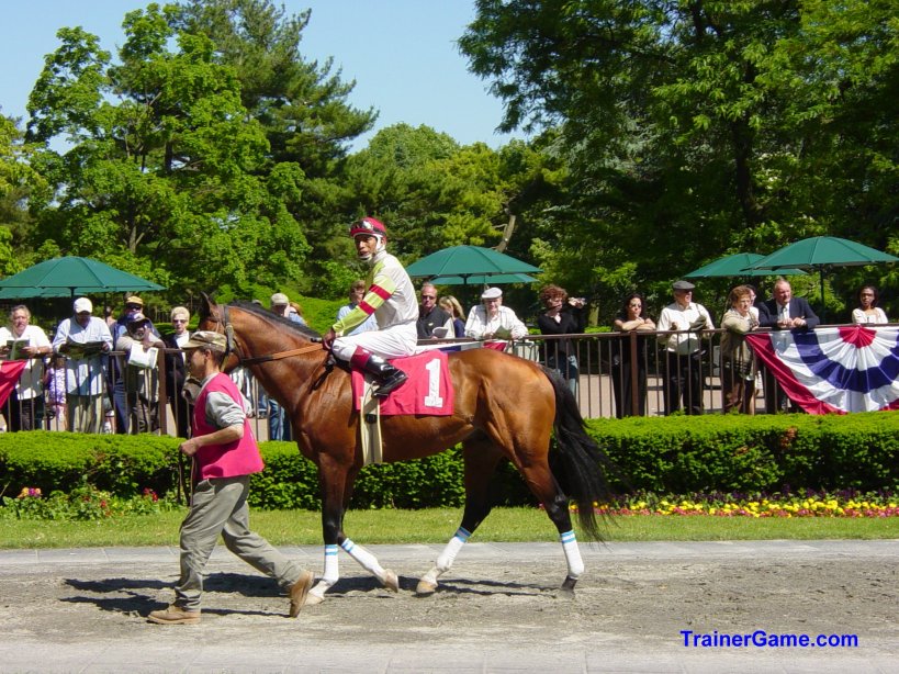 LEAVING THE PADDOCK