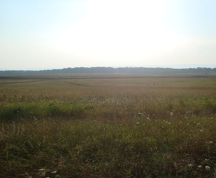 PICKETT"S CHARGE FIELD - wikipedia