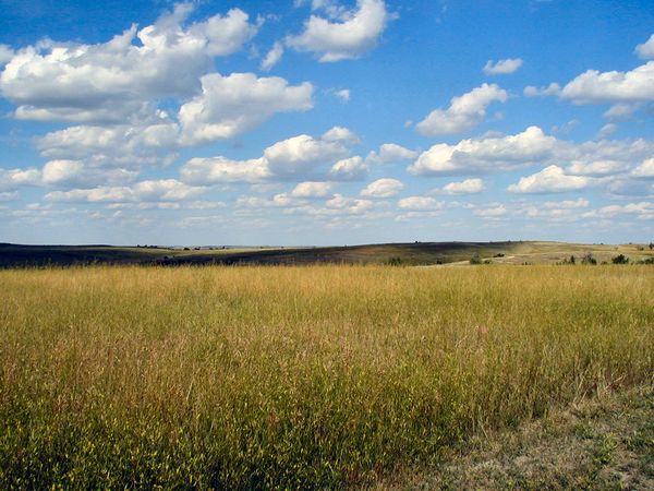 NORTH DAKOTA PRAIRIE