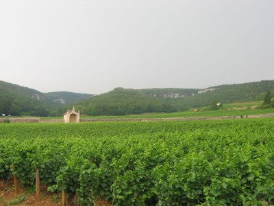 800px-Vineyards_Combe_Lavaux Gevrey Chambertin